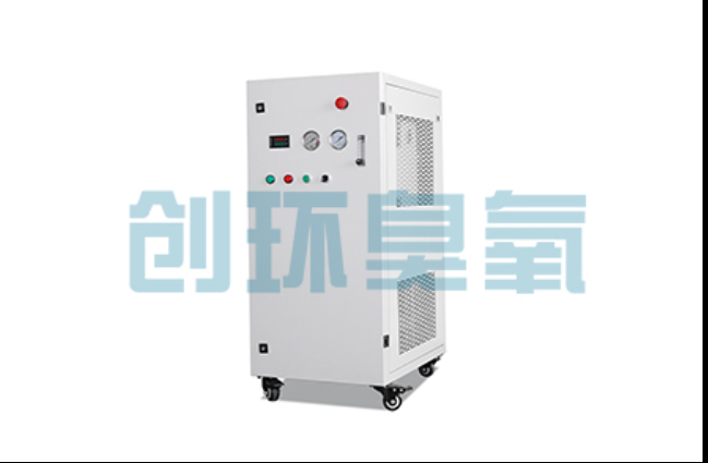 温州工厂化养鲈必看:2026年臭氧发生器替代传统消毒的最新方案