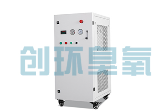 温州石斑鱼养殖水质调控完整指南:臭氧发生器配置与操作步骤