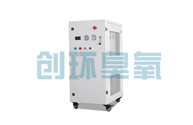 温州比传统换水更高效?臭氧发生器在石斑鱼养殖中的水质净化原理解析