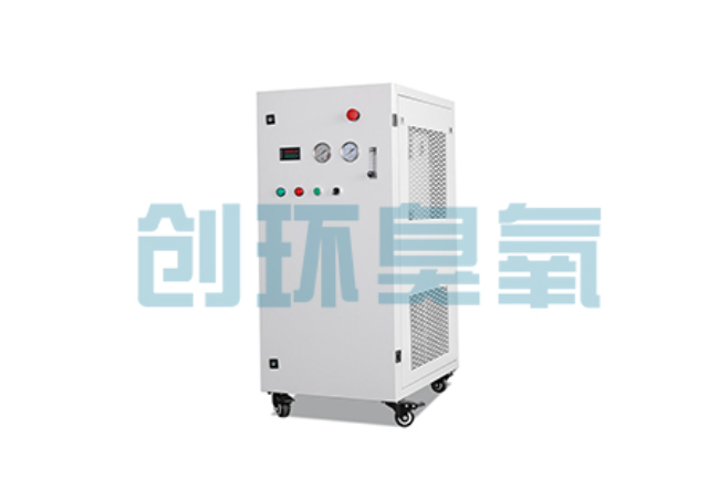 温州比传统换水更高效？臭氧发生器在石斑鱼养殖中的水质净化原理解析
